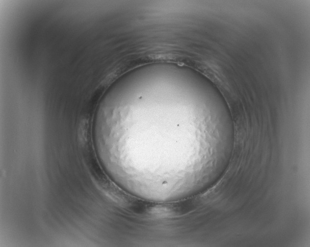 X0000068730171200605121527