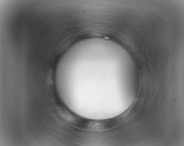 X0000068730174200605121527