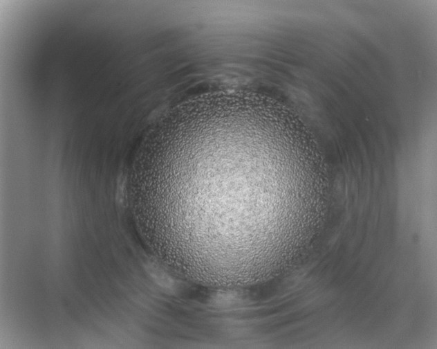 X0000068730177200605121527