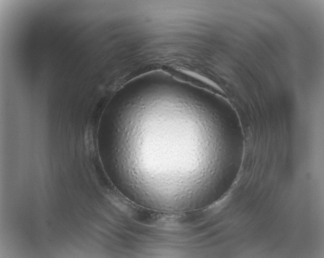 X0000068730182200605121527