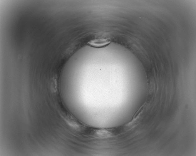 X0000068730183200605121527