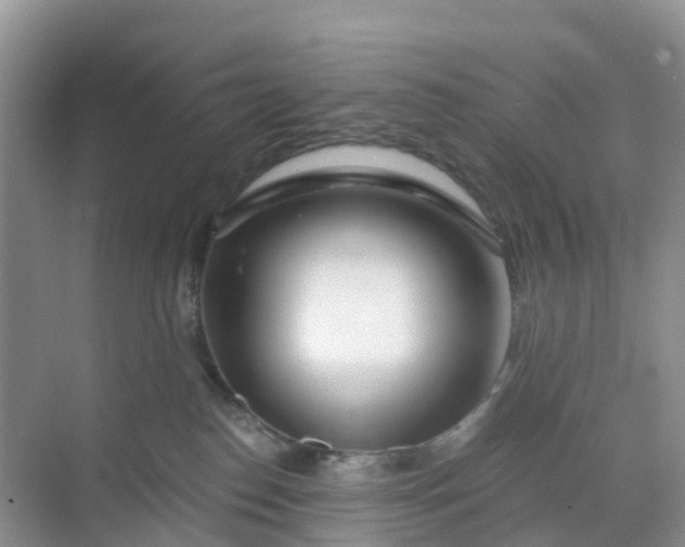 X0000068730186200605121527