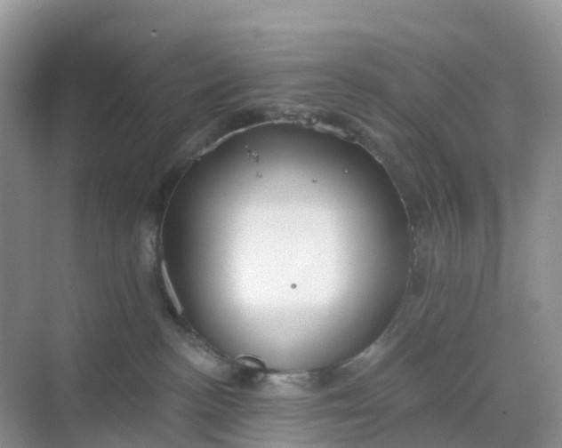 X0000068730188200605121527