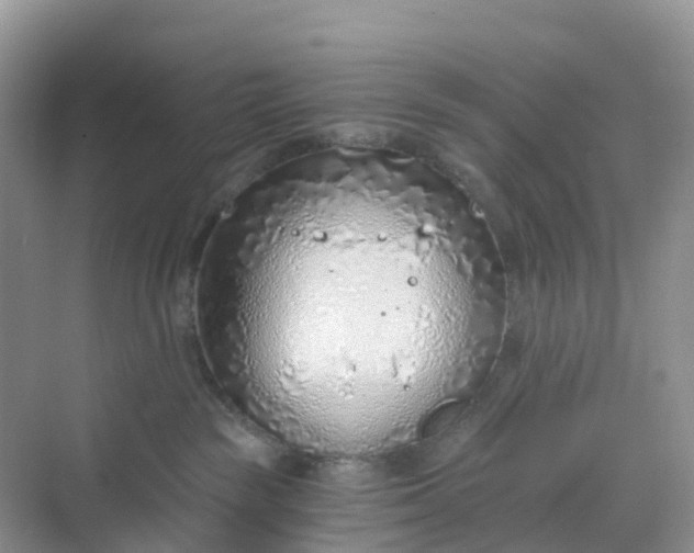 X0000068730189200605121527