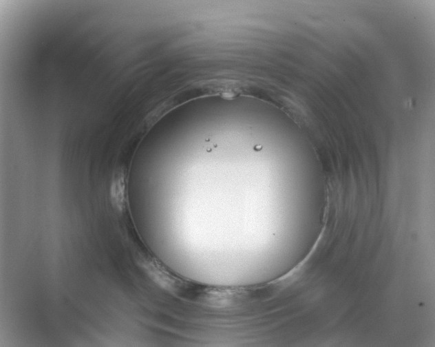 X0000068730190200605121527