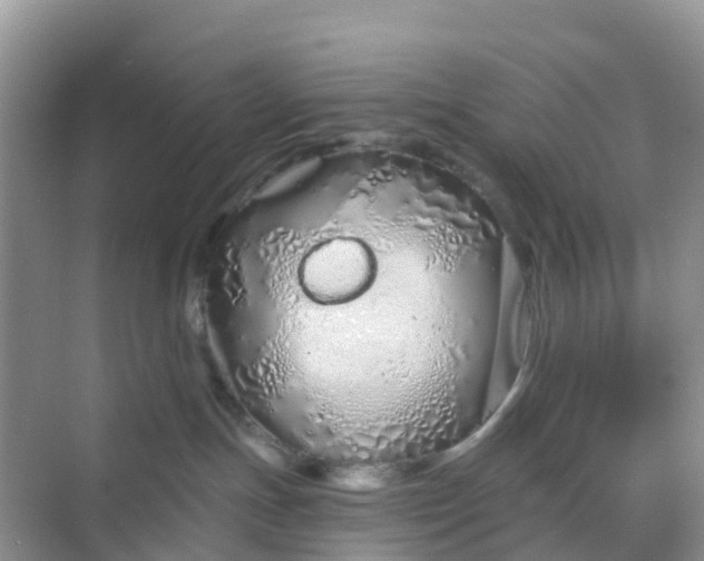 X0000068730191200605121528