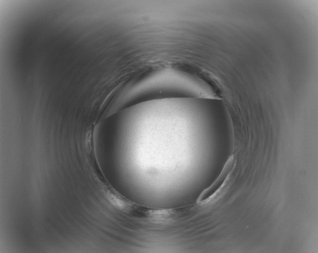 X0000068730192200605121528