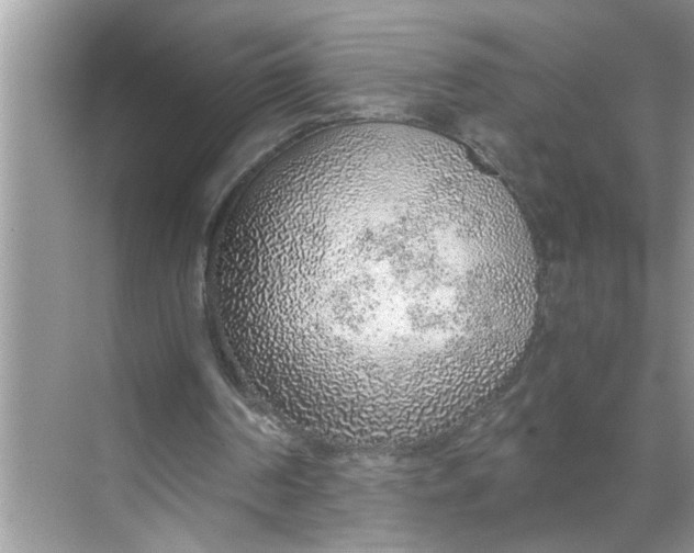 X0000068730194200605121527