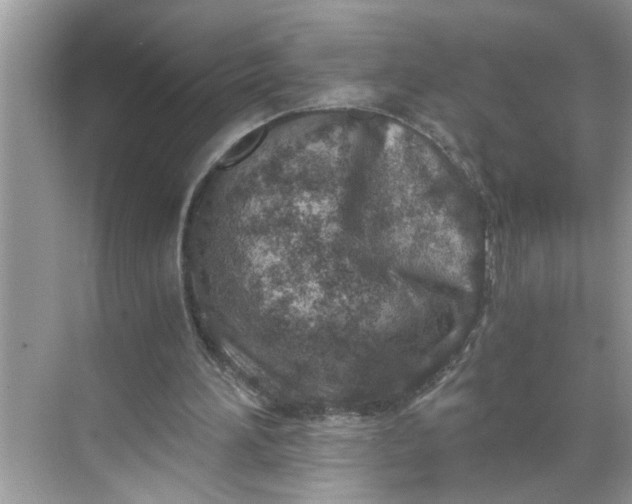 X0000068730196200605121527