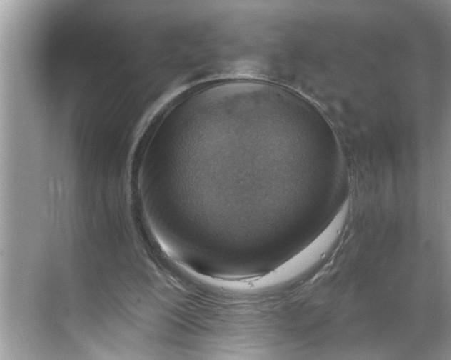 X0000068730200200605121527