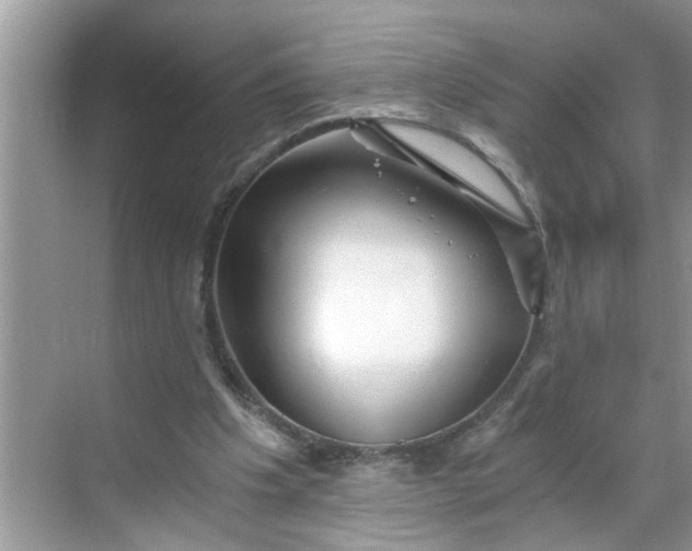 X0000068730201200605121527