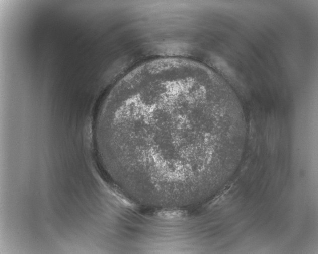 X0000068730202200605121527