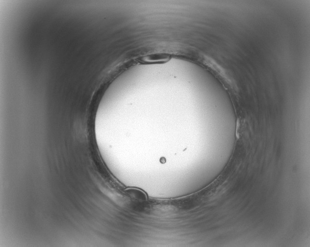 X0000068730203200605121527