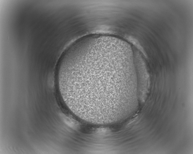 X0000068730204200605121527