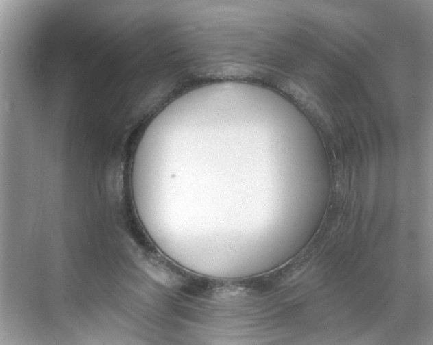 X0000068730206200605121526