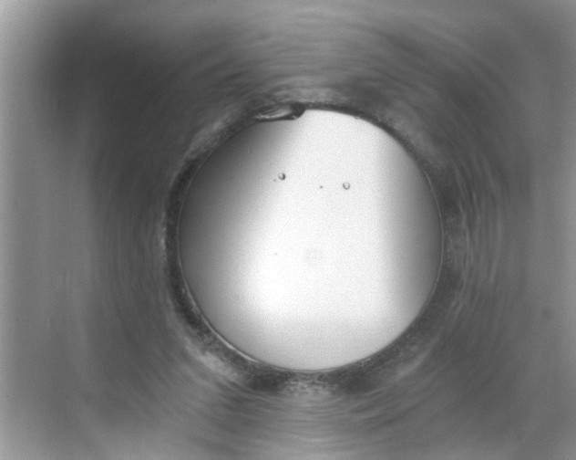 X0000068730207200605121526