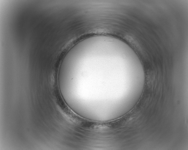 X0000068730208200605121526