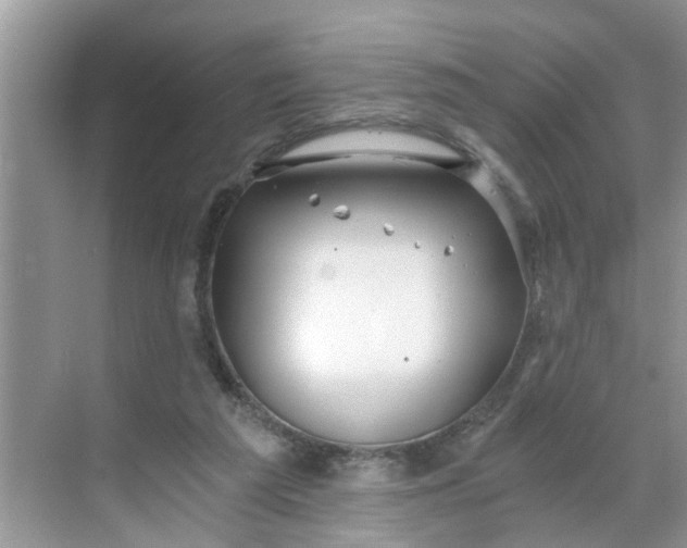 X0000068730209200605121526