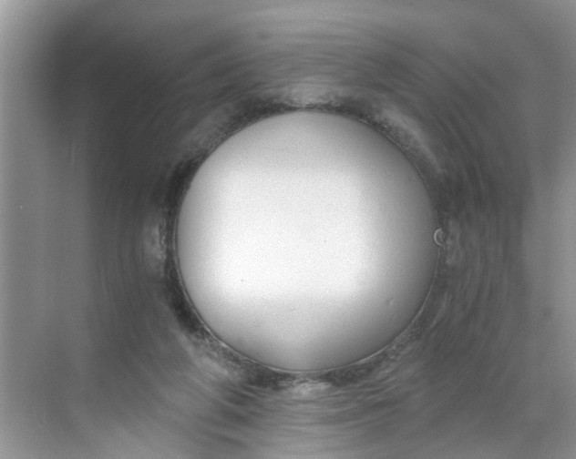 X0000068730210200605121526