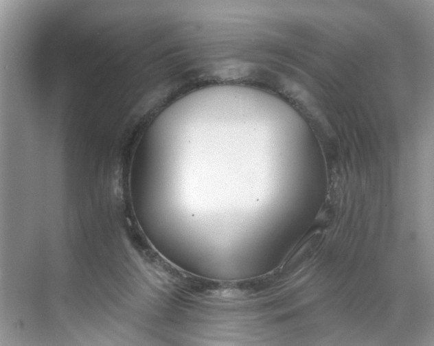 X0000068730212200605121526