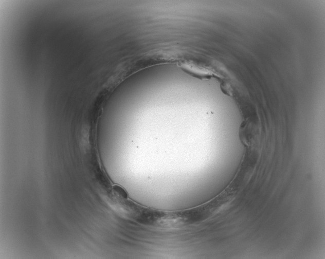 X0000068730213200605121526