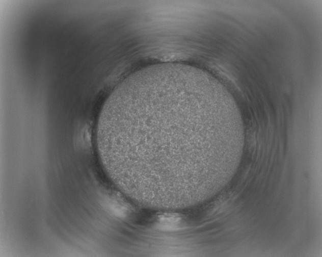 X0000068730214200605121526