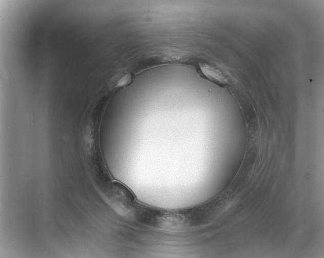 X0000068730215200605121526