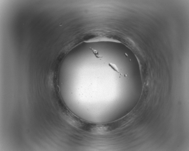 X0000068730217200605121526