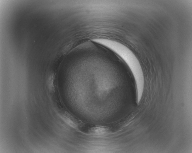 X0000068730219200605121526