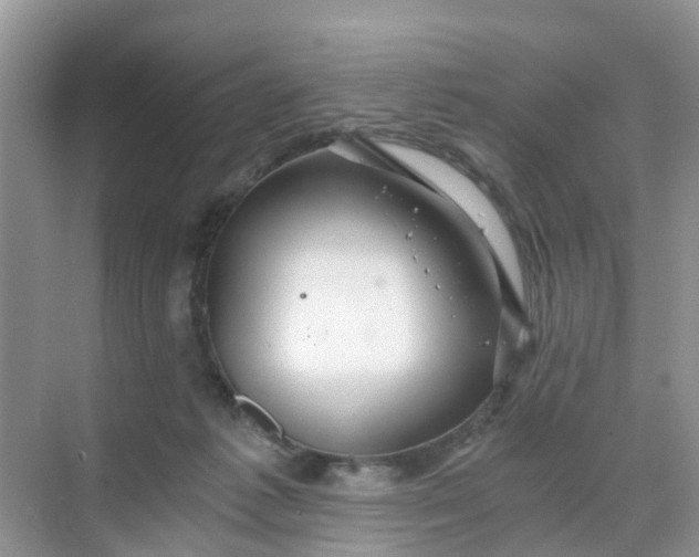 X0000068730221200605121526