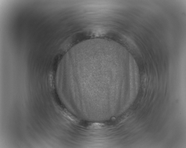 X0000068730222200605121526