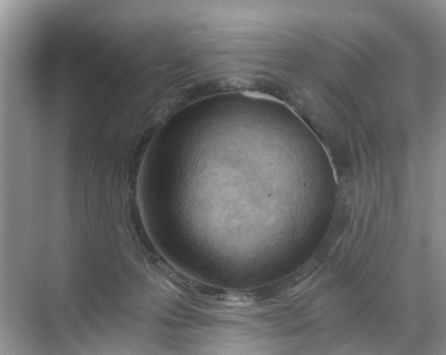 X0000068730223200605121526