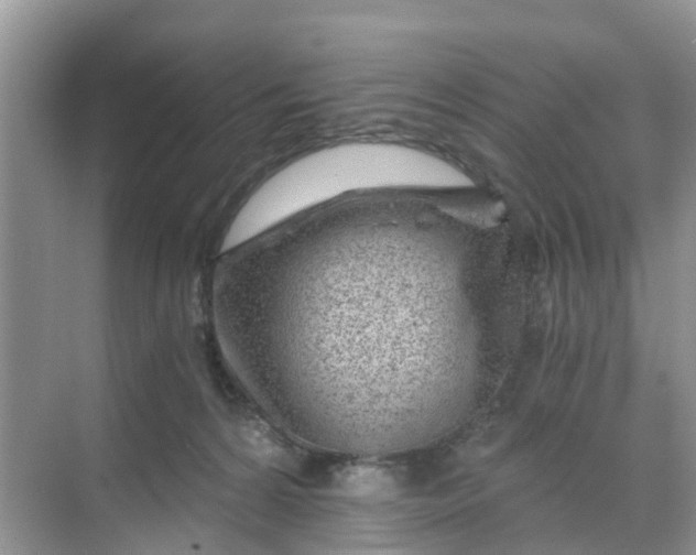 X0000068730224200605121526