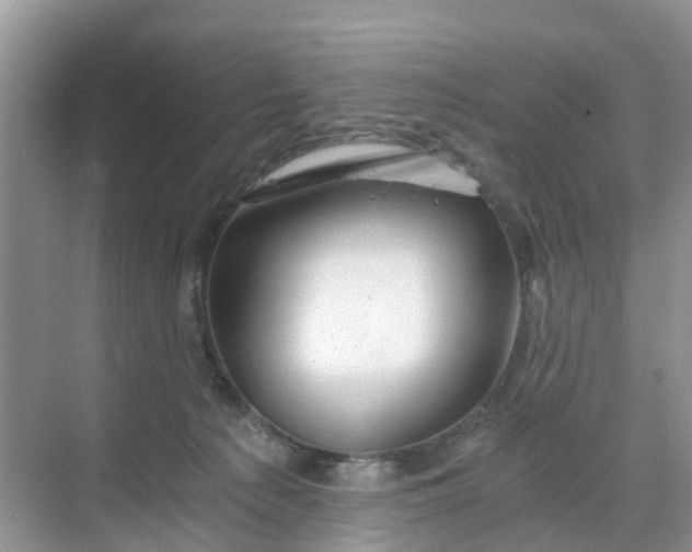 X0000068730225200605121526