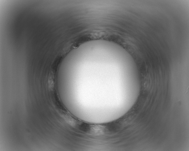 X0000068730226200605121526