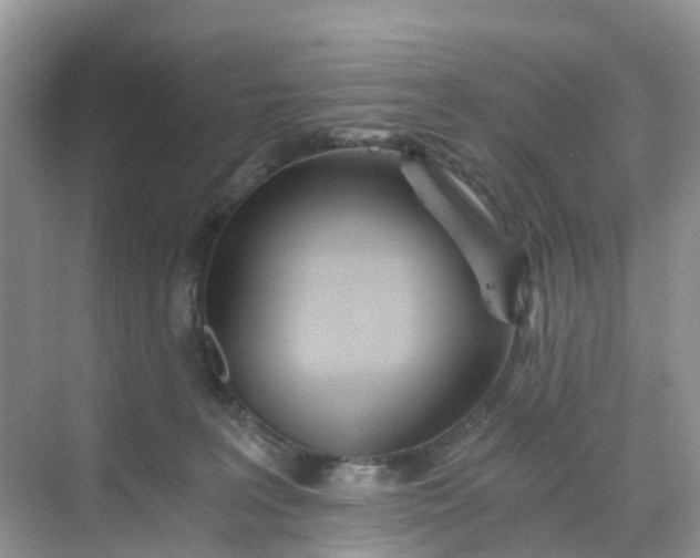 X0000068730227200605121526