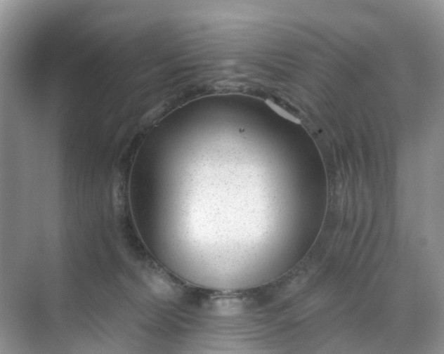 X0000068730228200605121526