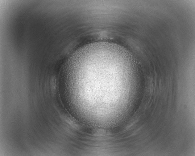 X0000068730230200605121526