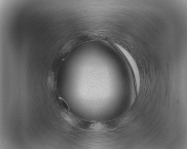 X0000068730231200605121526