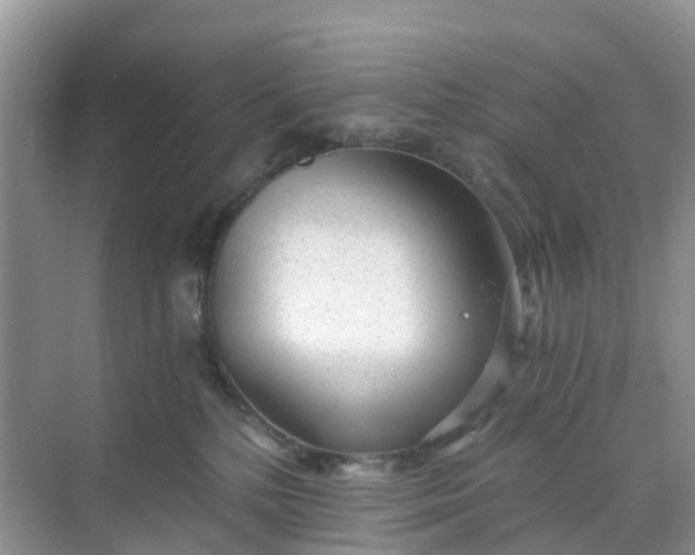 X0000068730232200605121526