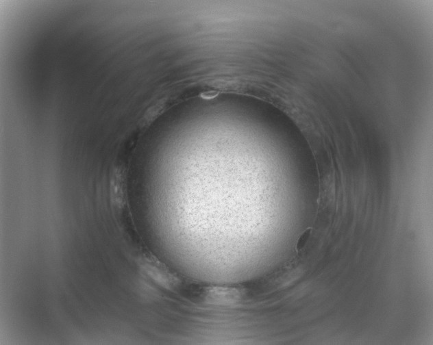 X0000068730234200605121526