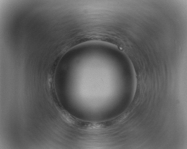 X0000068730235200605121526