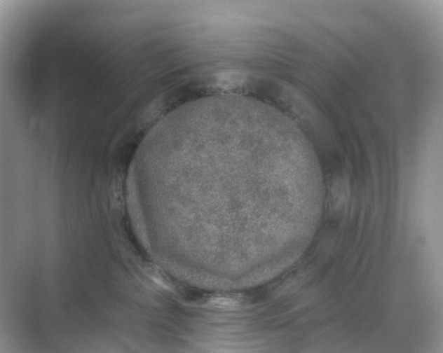 X0000068730236200605121526