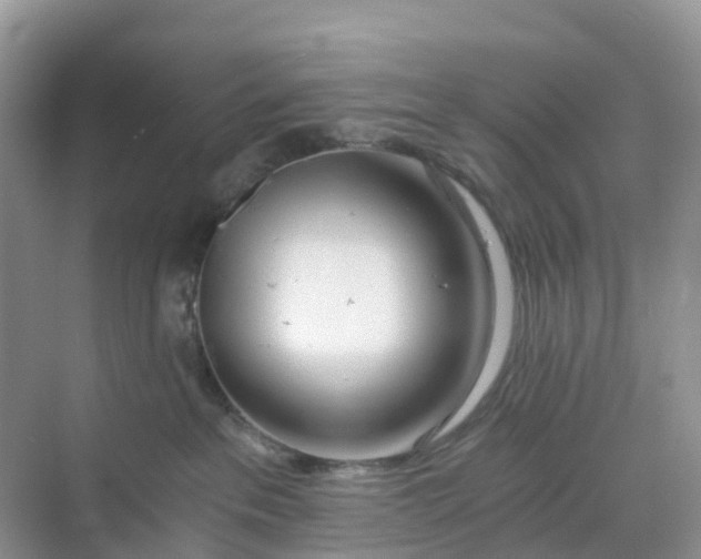 X0000068730237200605121526