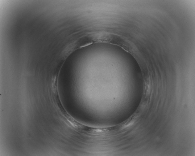 X0000068730239200605121526