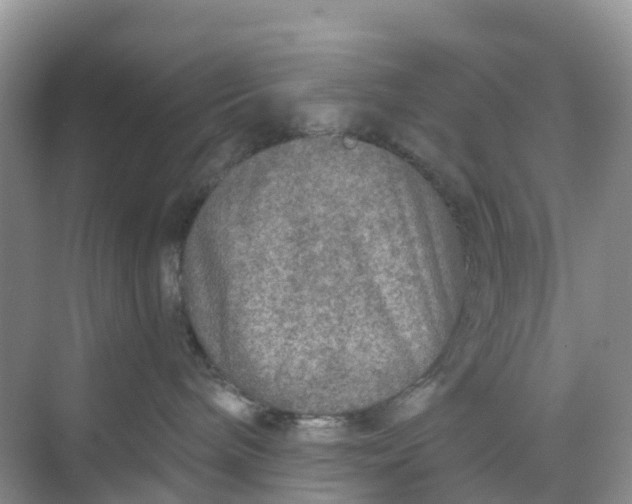 X0000068730240200605121526