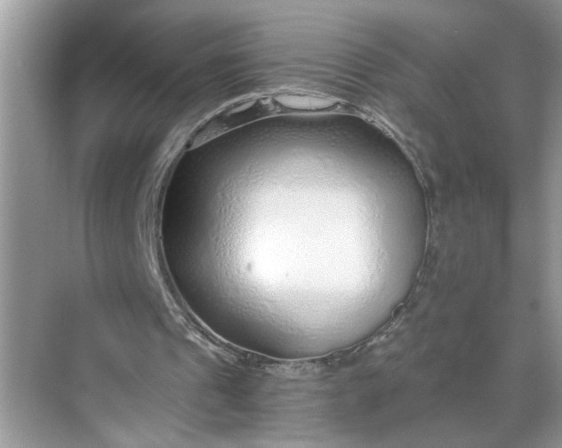 X0000068730241200605121525