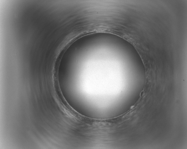 X0000068730242200605121525