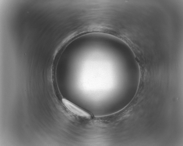 X0000068730244200605121525