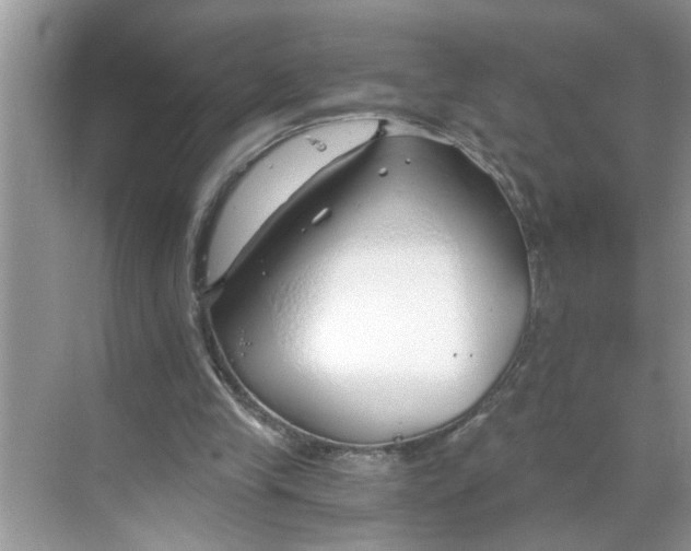 X0000068730245200605121525